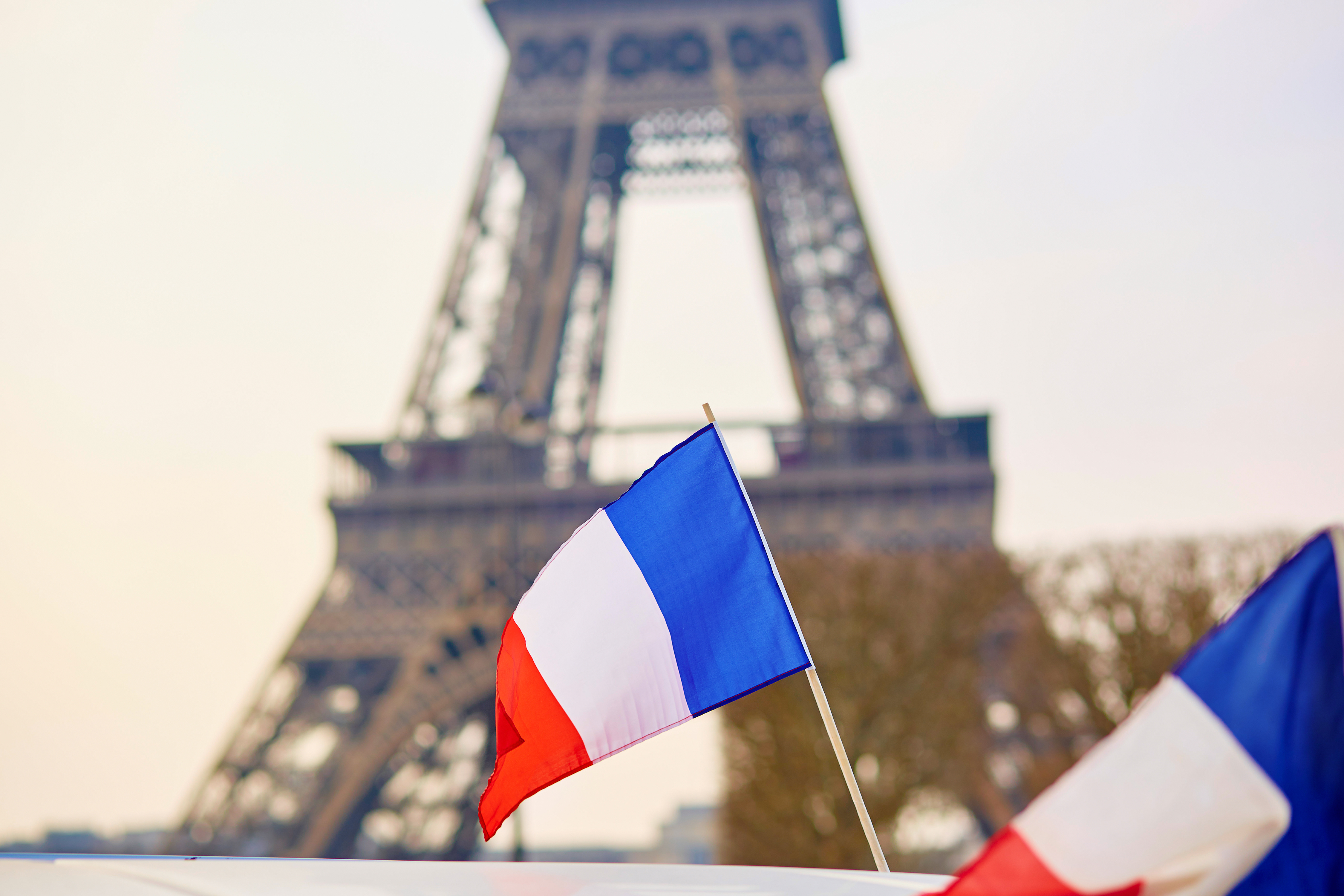 Франция ис. Флаг Франции. Франция государство. Франция на французском языке. Культура Франции.
