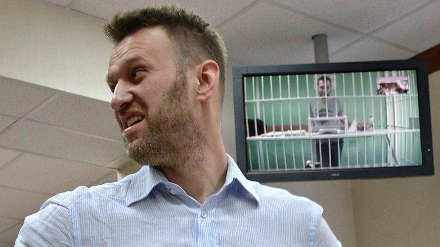 Чайка Алексея Анатольевича Навального 